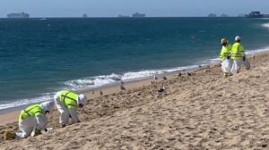 MSC y Costamare llegan a un acuerdo con las aseguradoras mientras el oleoducto SoCal reanuda sus operaciones