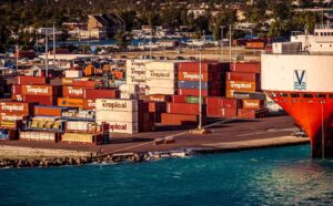 Neo Bulk Cargo: significado, tipos y ejemplos – Inbound Logistics