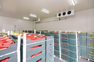 Cold Storage Warehouse: Definition, How It Works, and Key Features – Inbound Logistics