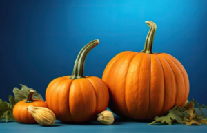 Enamorándose de las calabazas – Logística entrante