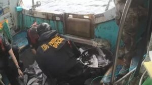 La Patrulla Pesquera Canadiense descubre 3.000 aletas de tiburón ilegales