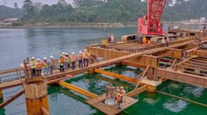 Granel seco en África a través de los ojos de una línea naviera africana