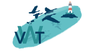 La Atalaya Virtual: un bien público