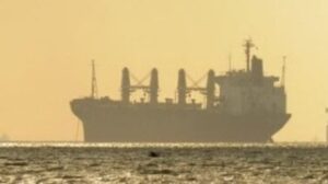 Tres tripulantes mueren en un granelero tras entrar en bodega