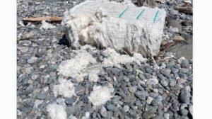 La NOAA les dice a los californianos “no tocar” mientras los escombros de contenedores llegan a la costa