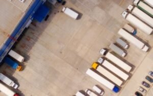 |  YMS: Su jardín, optimizado