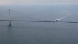 Dinamarca establece restricciones para el tránsito de buques cargados de nitrato de amonio