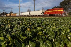 Omnitrax Joint Venture adquiere el ferrocarril de línea corta de California
